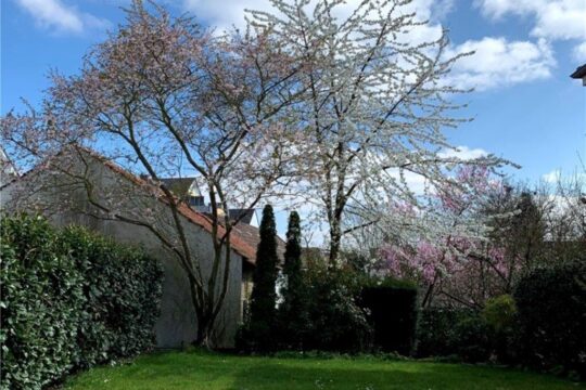 Bildausschnitt Garten im Frühjahr
